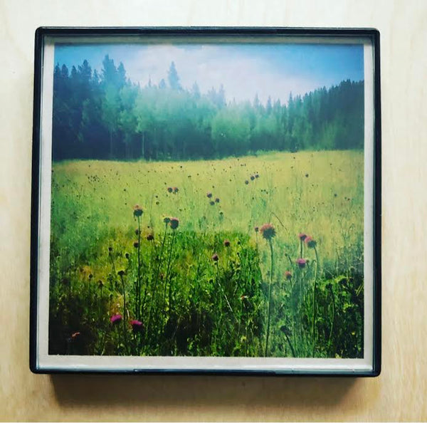 "Colorado Meadow" 4x4 Print Framed