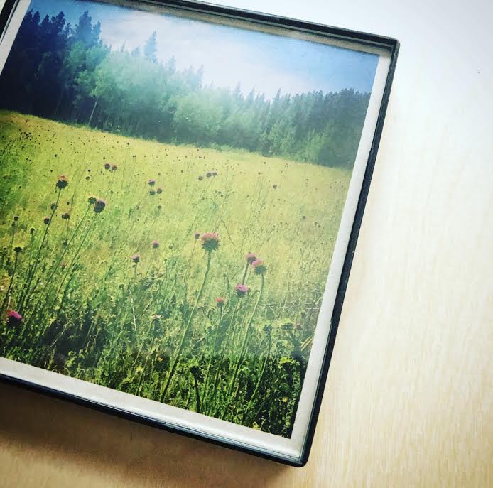 "Colorado Meadow" 4x4 Print Framed