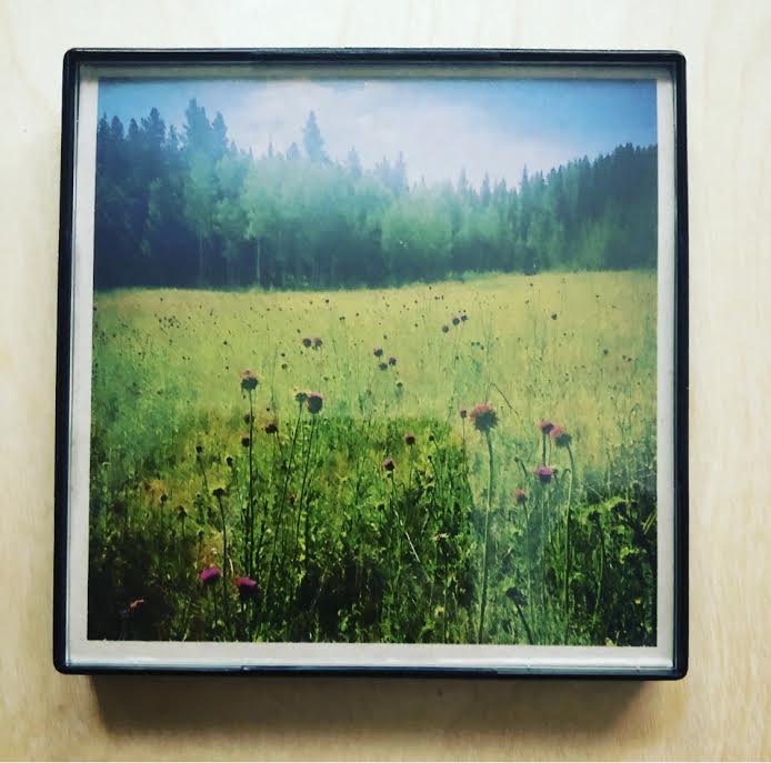 "Colorado Meadow" 4x4 Print Framed