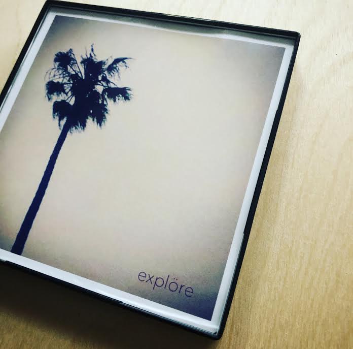 "Explore California Palm Tree" 4x4 Print Framed