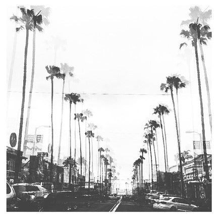 "PALMS OF OB" 4x4 Print