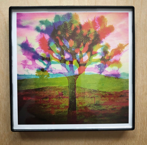 "Tree Love Color” 4x4 Print Framed