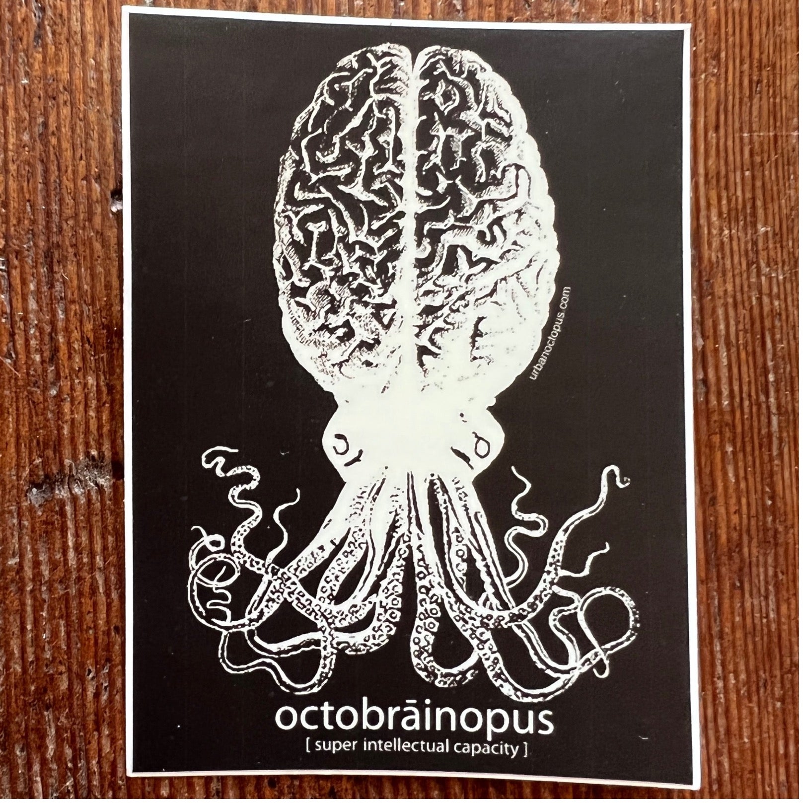 Octobrāinopus Sticker
