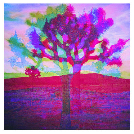 "TREE LOVE COLOR V2" 4x4 Print