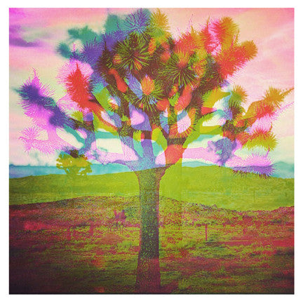 "TREE LOVE COLOR V1" 4x4 Print