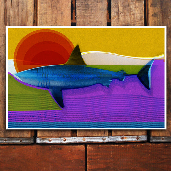 "Untitled Shark" NEW DESIGN 11x17 Poster