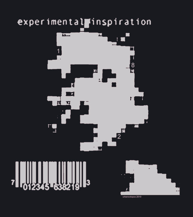 "EXPERIMENTAL INSPIRATION"